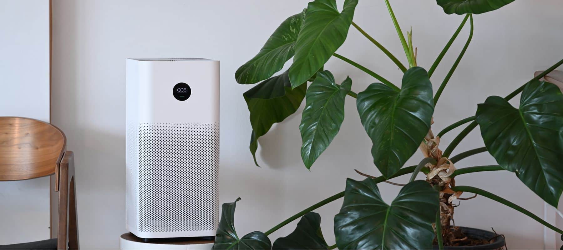 large plants sitting next to an air purifier system