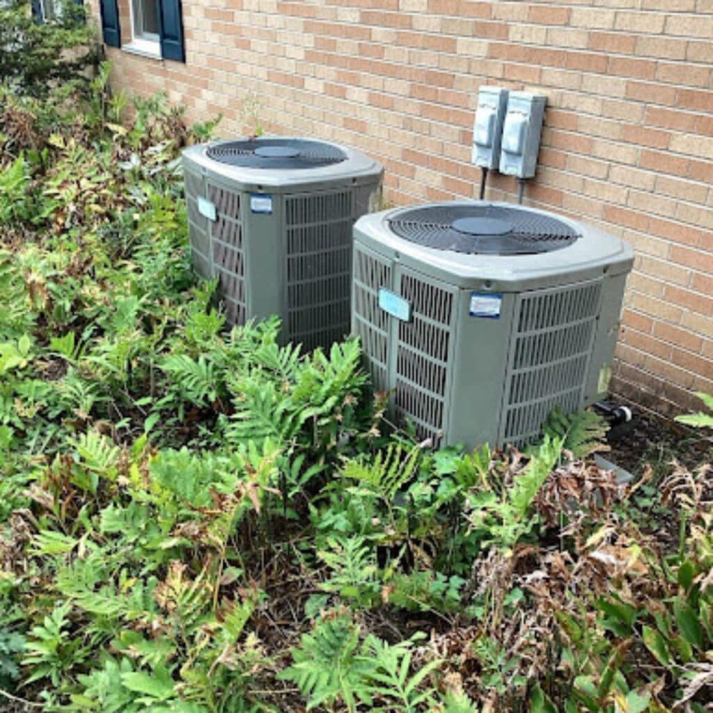 Two outdoor air conditioning units surrounded by overgrown vegetation next to a brick building wall